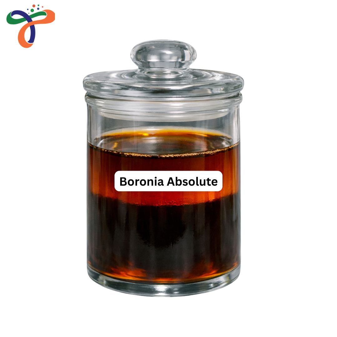Boronia Absolute